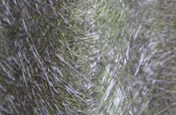 Carr Cross fibreglass roof work